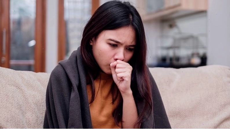 Tác dụng của quả cóc chín trong việc hỗ trợ giảm ho
