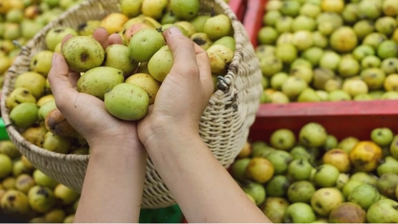 Táo mèo tươi với màu sắc bắt mắt