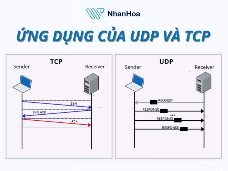 TCP và UDP