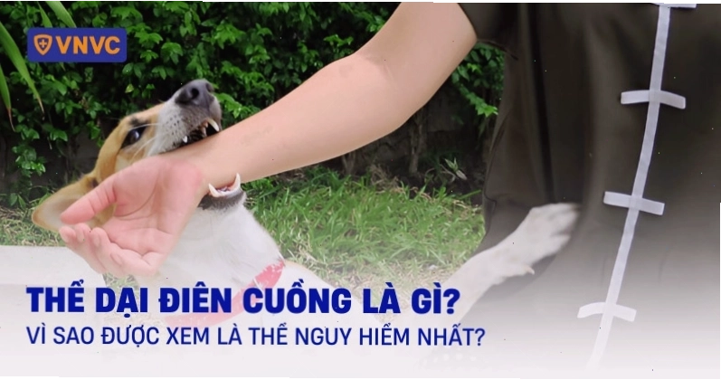 Thể dại điên cuồng ở động vật biểu hiện bất thường