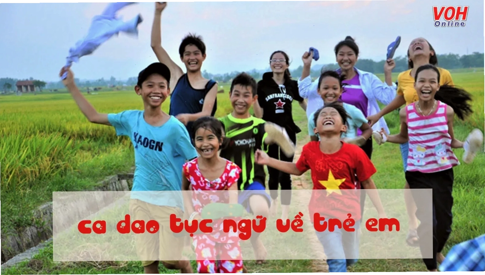 Thế giới đa dạng của rau củ quả