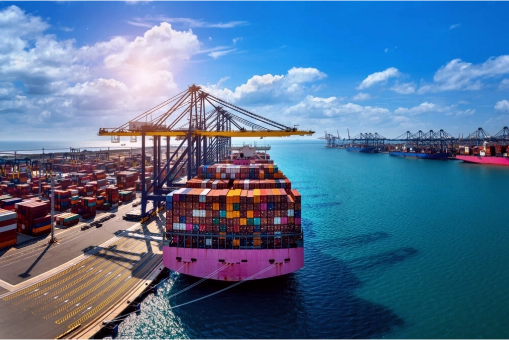 Thời gian dự kiến khởi hành (ETD) là yếu tố then chốt trong lịch trình vận tải biển