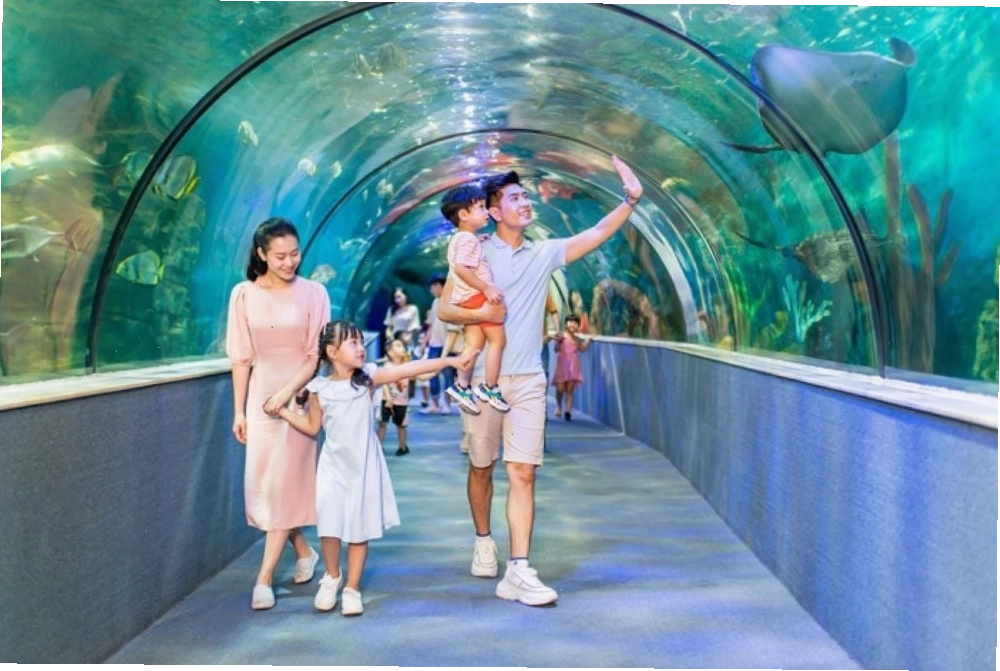 Thủy cung Vinpearl Aquarium, địa điểm đi chơi thú vị ở Hà Nội