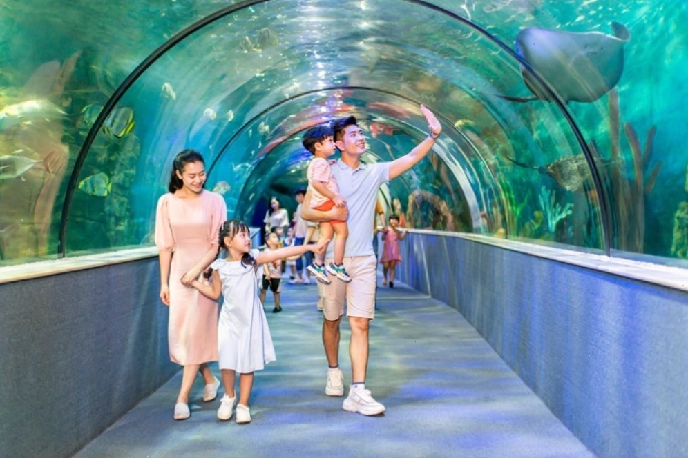 Thủy cung Vinpearl Aquarium với hàng ngàn sinh vật biển đa dạng