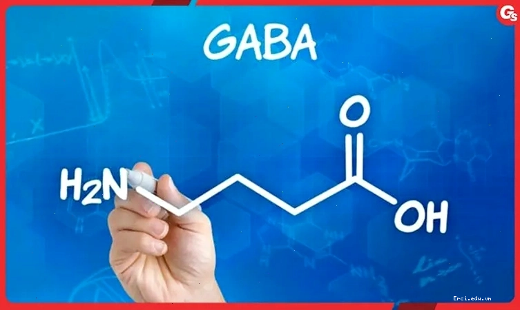 Tìm hiểu về GABA | Định nghĩa, tác dụng, cách tăng GABA tự nhiên