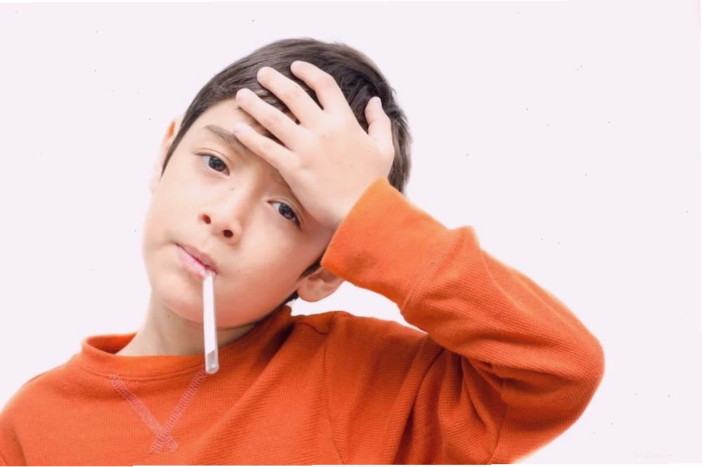 Tìm hiểu về nhiễm trùng do mèo cào để có biện pháp phòng ngừa và xử lý kịp thời