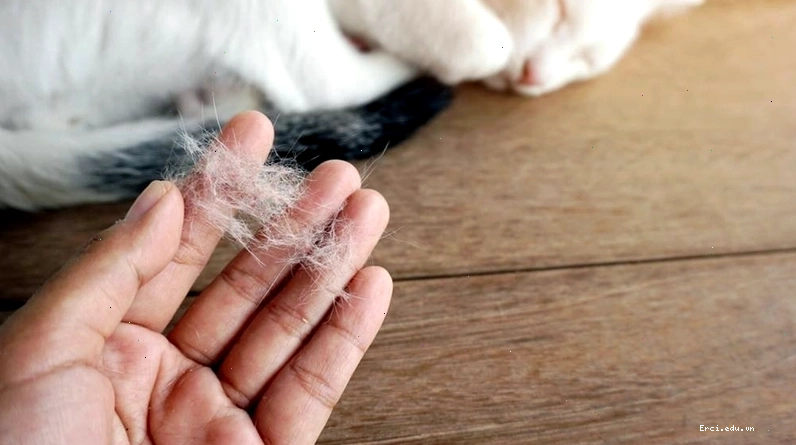 Tìm kiếm sự tư vấn y tế khi có triệu chứng bất thường