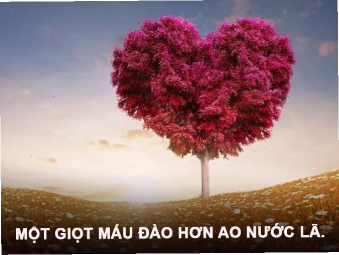Tinh thần đoàn kết và sẻ chia trong xã hội