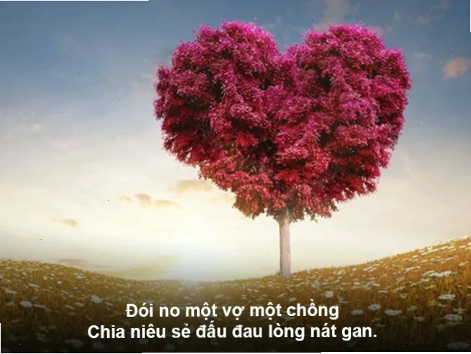 Tình yêu thương con người trong ca dao tục ngữ