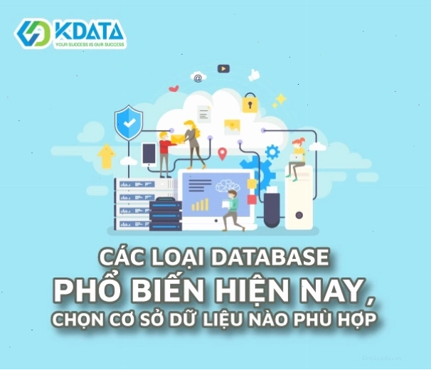 Tổng quan về các loại cơ sở dữ liệu phổ biến và ứng dụng của chúng