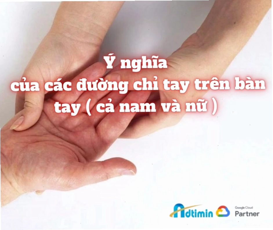 Tổng quan ý nghĩa các đường chỉ tay trên bàn tay nam và nữ.