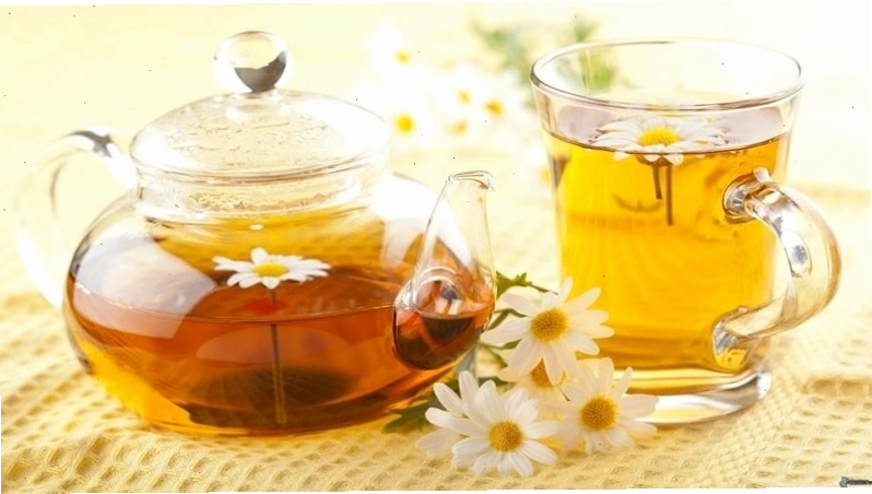 Trà hoa cúc giúp trị các bệnh về đường tiêu hóa