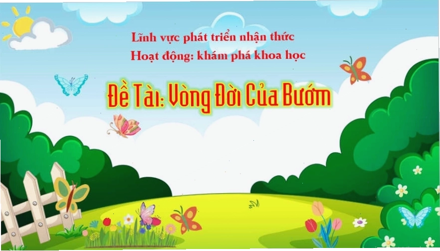 Trẻ mầm non tham gia hoạt động ngoài trời