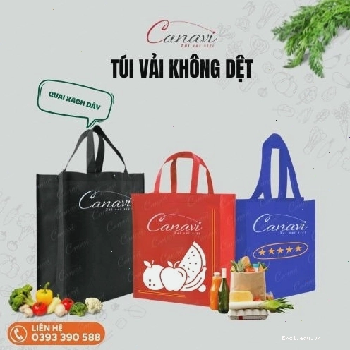 Túi vải không dệt thay thế túi ni lông