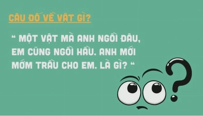 Tuyển tập các câu hỏi trí tuệ hài hước