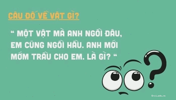Tuyển tập câu hỏi trí tuệ và hài hước