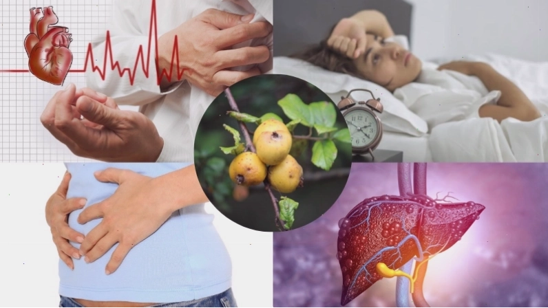 Ứng dụng của siro táo mèo trong ẩm thực