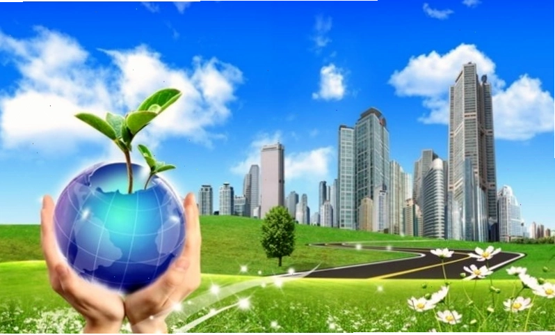 Vai trò và tác hại của thực vật đối với đời sống