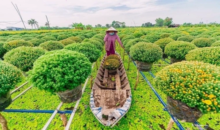 Vẻ đẹp Đồng Tháp