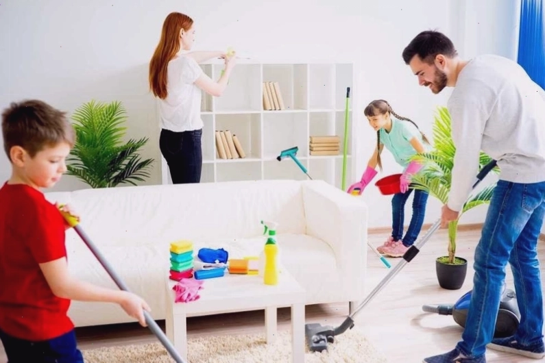 Vệ sinh nhà cửa thường xuyên giúp giảm lông mèo