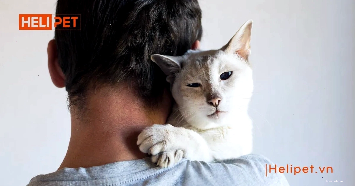Vết mẩn đỏ do ghẻ trên da người