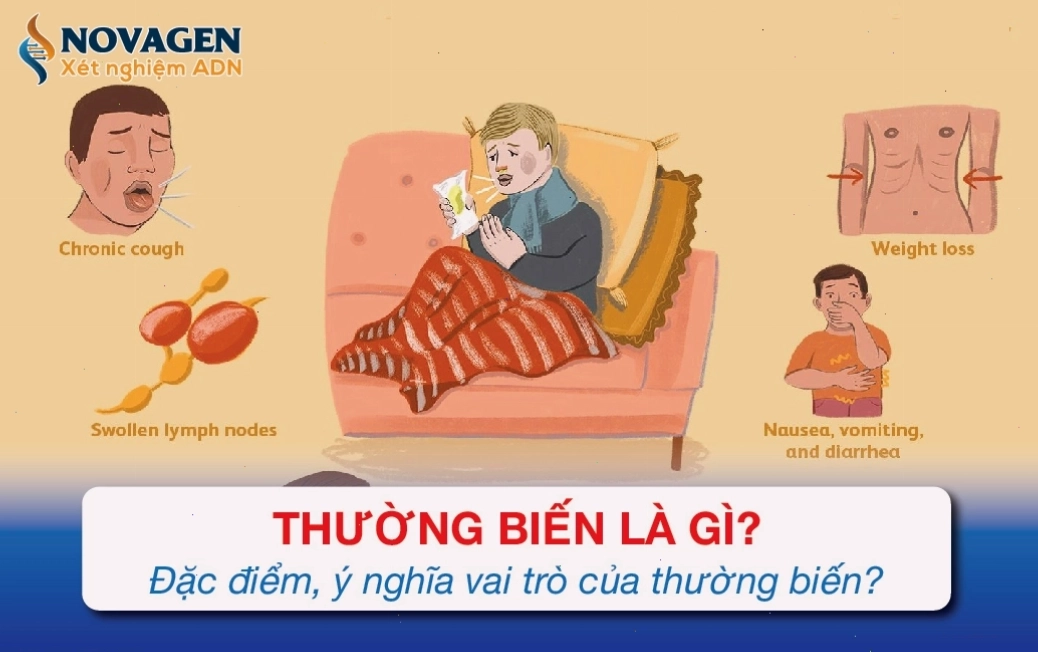 Ví dụ về thường biến ở cây trồng do điều kiện môi trường