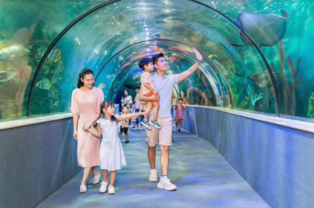 Vui chơi thỏa thích tại Vinpearl Aquarium Times City với thế giới sinh vật biển phong phú