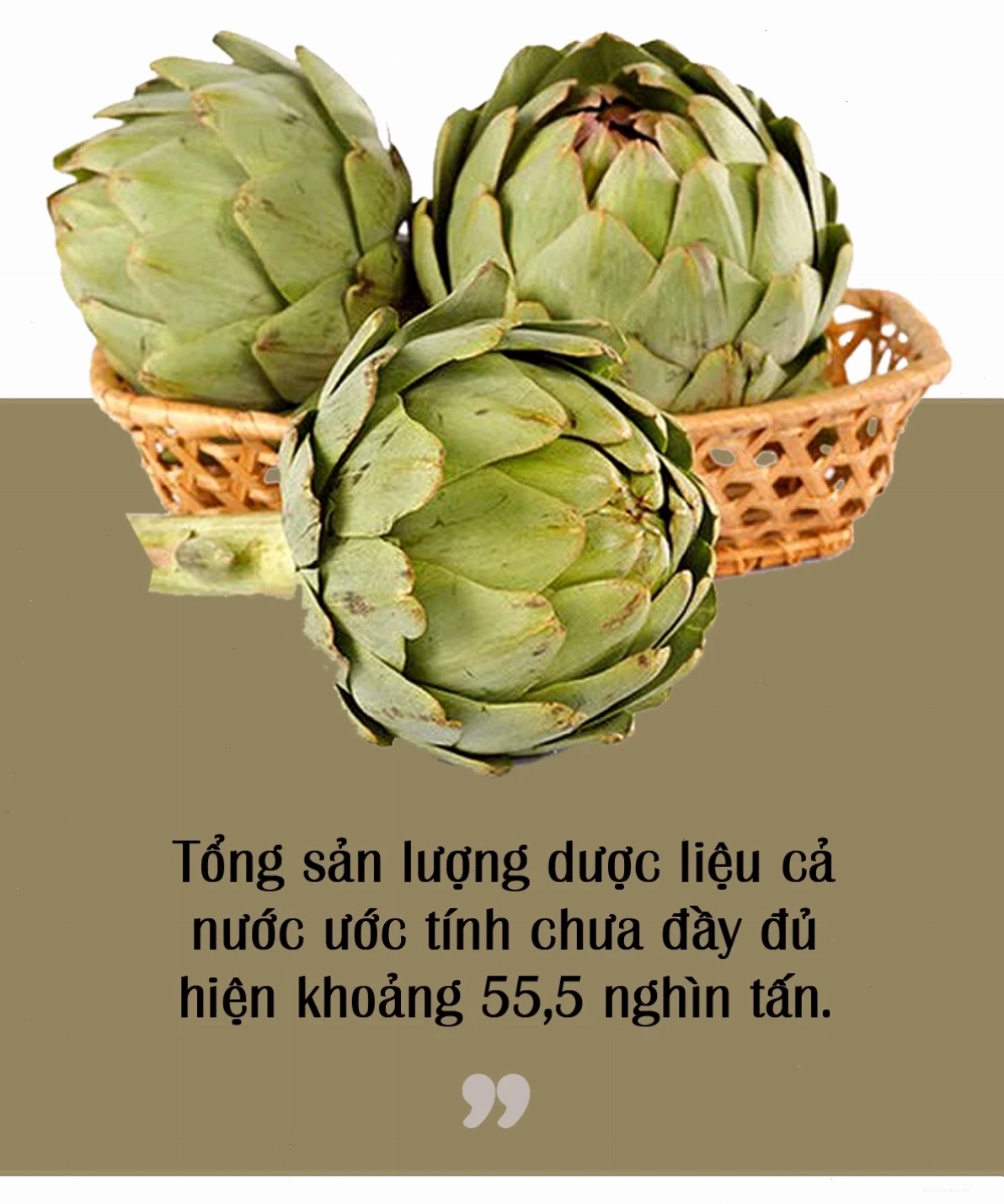 Hình ảnh kết thúc bài viết về tranh chibi cây thuốc quý