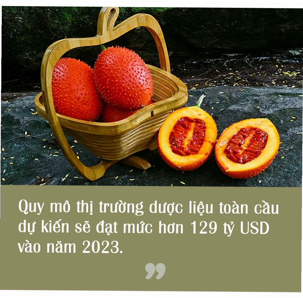 Hình ảnh minh họa bảo mật thông tin khi truy cập website đồ họa