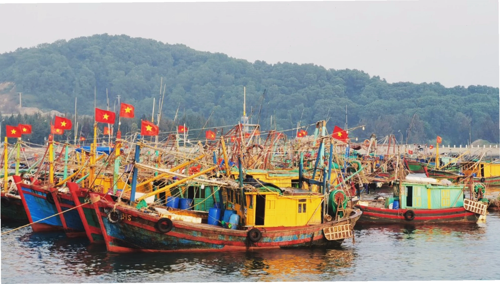 Tàu thuyền neo đậu tránh trú bão an toàn tại khu vực ven biển