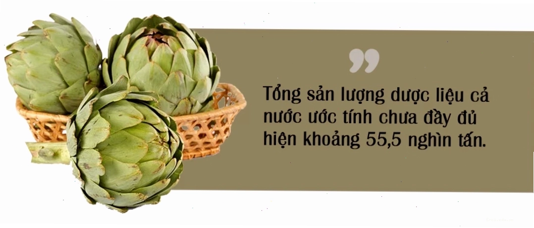 Tranh chibi cây cơm rượu với phong cách dễ thương