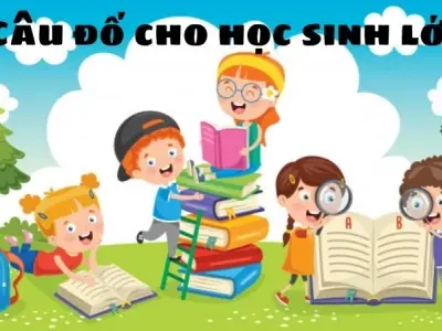 Câu đố cho học sinh lớp 2 giúp bé phát triển khả năng tư duy