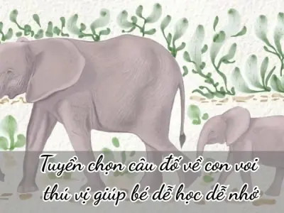Tuyển chọn câu đố về con voi thú vị giúp bé dễ học dễ nhớ