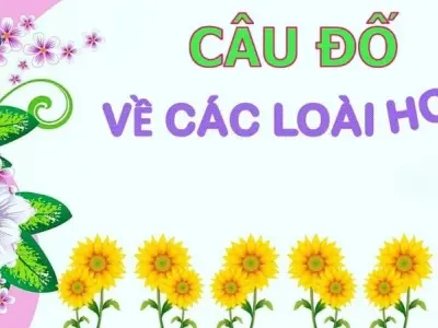 Khám phá câu đố về hoa khiến bạn bật cười vì lời giải