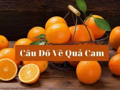 Tuyển tập câu đố về quả cam cho bé vui học và tư duy logic