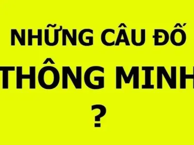 Khám phá kho tàng câu đố thông minh kích thích trí tuệ