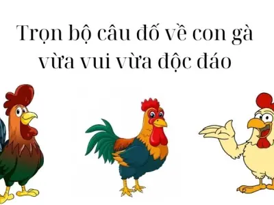 Trọn bộ câu đố về con gà vừa vui vừa độc đáo và thú vị