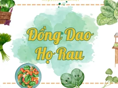 Tìm hiểu những bài đồng dao về các loại rau thú vị cho bé