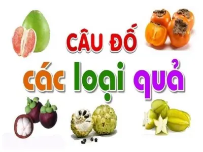 Tổng hợp câu đố về quả thú vị khiến bạn cười nghiêng ngả