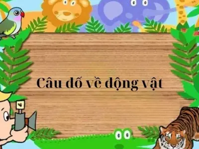 Tổng hợp câu đố về động vật cực thú vị cho bé - Có đáp án