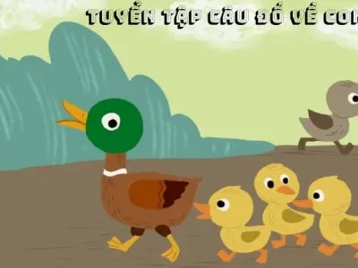 Tuyển tập câu đố về con vịt khiến bé và cả nhà gắn kết