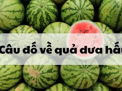 Câu đố về quả dưa hấu thú vị giúp bé rèn trí thông minh