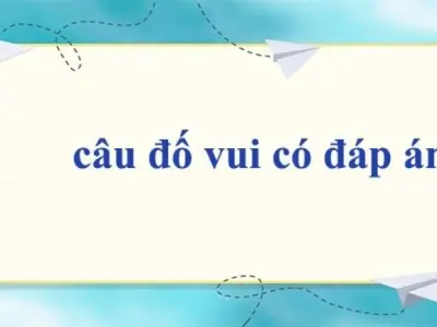 Khám phá ngay các câu hỏi đố vui có đáp án cho ngày thêm vui