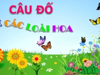 Tổng hợp câu đố về các loài hoa độc đáo và hấp dẫn nhất