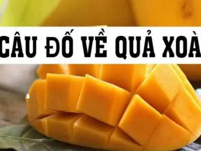 Câu đố về quả xoài đơn giản và kích thích tư duy cho bé