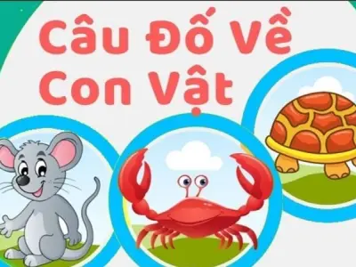 Vui học với câu đố về con vật cho trẻ mầm non hay nhất