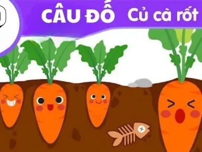 Vui học cùng bé với câu đố củ cà rốt độc đáo mà dễ hiểu