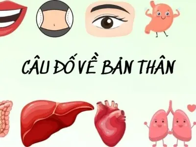 Trắc nghiệm đáng yêu bằng câu đố về bản thân cho trẻ em