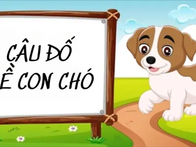 Câu đố về chó dễ thương kích thích tư duy cho trẻ nhỏ
