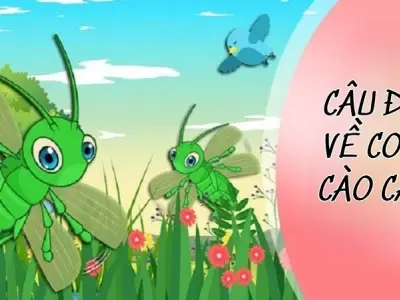 Câu đố vui về cào cào kích thích trí tưởng tượng trẻ thơ